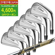 楽天市場】タイトリスト t200 アイアン dynamic goldツアーイシューの通販