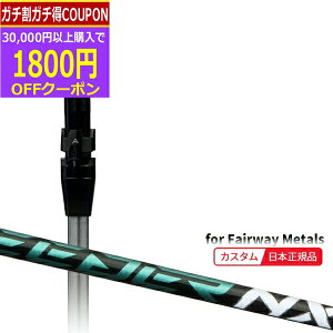 y11/27܂ŃubNtCDAYN[|z([J[Ki)( [2-4T) JX^VtgP ^CgXg tFAEFC^p Xs[_[NXO[ SureFitX[utVtgPi(