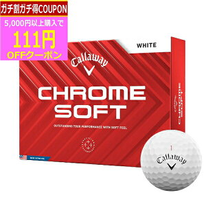 (cƓ)(NAX)LEFCSt N\tg(CHROME SOFT) St{[ 1_[X (12) 2024Nf