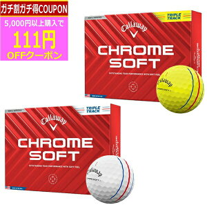 (cƓ)(NAX)LEFCSt N\tg (CHROME SOFT )gvEgbN St{[ 1_[X (12) 2024Nf