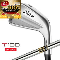 楽天市場】t100 タイトリスト dgの通販