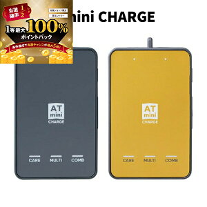 y\12/5zXGg[&Iōő100|CgobN I(cƓ)ɓZg ATmini CHARGE RfBVjO XyVPA @