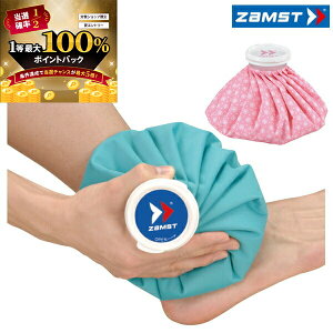 y\12/5zXGg[&Iōő100|CgobN I(cƓ)UXg ACXobO iX̂j ACVOpi STCY 378101/378111