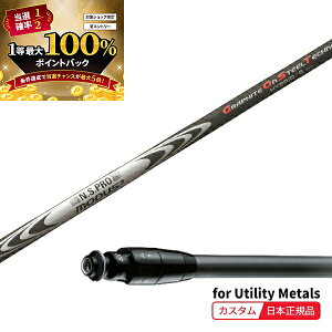 y\11/15zXGg[&Iōő100|CgobN I( [2-4T) JX^VtgP ^CgXg [eBeB^p N.S.PRO[_X3nCubh(GOST) SureFit