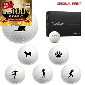 【★予告★11/15限定】当店エントリー&抽選で最大100％ポイントバック ！【オリジナルマークプリントボール(納期2-3日)】タイトリスト PROV1 ゴルフボール 1ダース(12球入り) 2025年モデル ペット スポーツシルエット