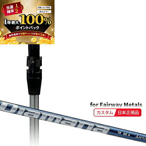 y\11/25zXGg[&Iōő100|CgobN I([J[Ki)( [2-4T) JX^VtgP ^CgXg tFAEFC^p fBA}iTB SureFitX