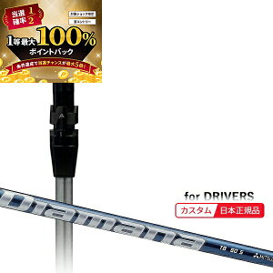 y\11/25zXGg[&Iōő100|CgobN I([J[Ki)( [2-4T) JX^VtgP ^CgXg hCo[p fBA}iTB SureFitX[ut