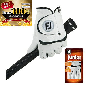 11/5聚XGg[&Iōő100|CgobN ItbgWC WjA StO[u FGJR25WTPR 葕p 2025Nt