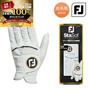 11/5聚XGg[&Iōő100|CgobN ItbgWC XeC\t StO[u FGSS23L E葕p Y 2025Nt