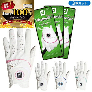 y\10/25zXGg[&Iōő100|CgobN I() y3ZbgztbgWC EBY EFU[\t 葕p StO[u FGWFW23 fB[X 18`21cm 2023