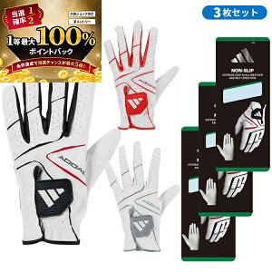 y\12/5zXGg[&Iōő100|CgobN Iy3ZbgzAfB_X St mXbv 24 O[u IKL18 葕p Y 2024Nt