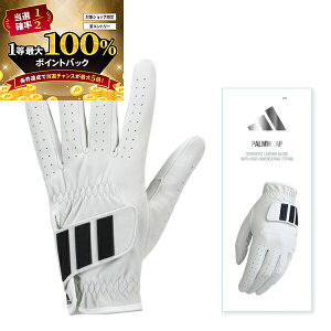 y\12/5zXGg[&Iōő100|CgobN IAfB_X St p[bv O[u KVH43 (LH 葕p/RH E葕p) Y 2025Nt