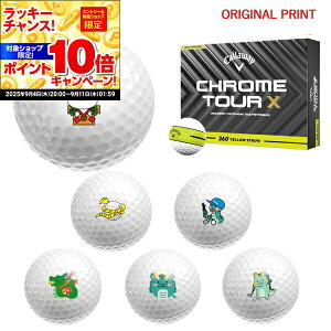 yX[p[SALEGg[œXSiP10{UPzyIWi}[Nvg{[([2-3)zLEFC NcA[X(CHROME TOUR-X) 360 CG[XgCv St{[ 1_[X (12
