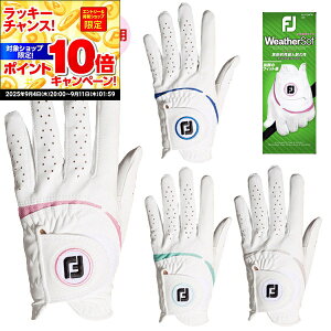 10/5IGg[őSi|Cg10{UP tbgWC EBY EFU[\t 葕p StO[u FGWFW23 fB[X 18`21cm 2023N