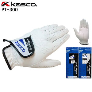 LXR(kasco) \tgV[v {iVRv vtFbVif StO[u  1 PT-300 (葕p / E葕p) Y (outlet)