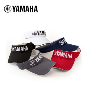 11/1܂ŃK`N[|s(cƓ)@}n X^_[hToCU[ Y22VS1 Y t[TCY(56`60cm) 2024Npf