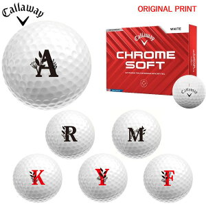 yIWi}[Nvg{[([2-3)zLEFCSt N\tg(CHROME SOFT) St{[ 1_[X (12) 2024Nf At@xbgC }[N