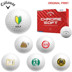 yIWi}[Nvg{[([2-3)zLEFCSt N\tg(CHROME SOFT) St{[ 1_[X (12) 2024Nf 낢 }[N