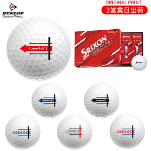 【オリジナルマークプリントボール(納期2-3日)】ダンロップ SRIXON DISTANCE9 ディスタンス9 ゴルフボール 1ダース(12球入)2023年継続モデル ターゲットラインB マーク入