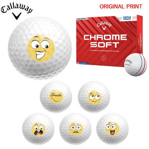 yIWi}[Nvg{[([2-3)zLEFCSt N\tg(CHROME SOFT)gvEgbN St{[ 1_[X (12) 2024Nf X}CvgA }[N