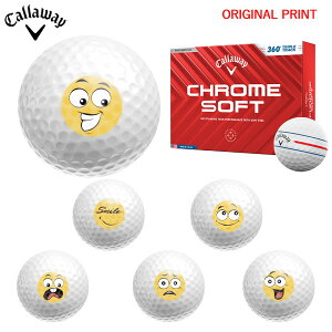 yIWi}[Nvg{[([2-3)zLEFCSt N\tg(CHROME SOFT) 360° gvEgbN St{[ 1_[X (12) 2024Nf X}CvgA }[N