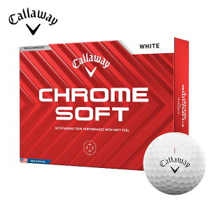 (cƓ)NAX又Z[LEFCSt N\tg(CHROME SOFT) St{[ 1_[X (12) 2024Nf