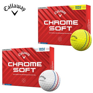 (cƓ)(NAX)LEFCSt N\tg (CHROME SOFT )gvEgbN St{[ 1_[X (12) 2024Nf