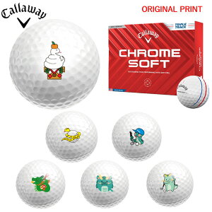 yIWi}[Nvg{[([2-3)zLEFCSt N\tg(CHROME SOFT)gvEgbN St{[ 1_[X (12) 2024Nf x vg }[N