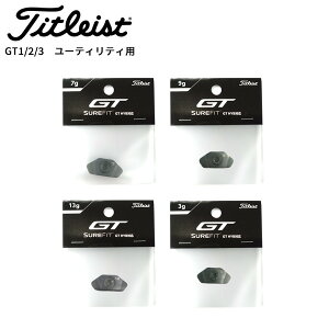 ^CgXg GT1 / GT2 / GT3 [eBeBΉ EGCg 2025Nf SFTWGTH3 ({Ki)(weight EFCg EGCg)