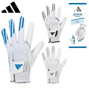 NAX又Z[ AfB_X St N[ nCObv 25 O[u KVH41 葕p Y 2025Ntāioutretj