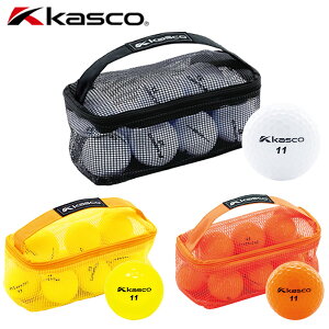 (cƓ)LXR DNA St{[ |[` 1pbN (10) ({Ki)