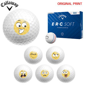 y11/27܂ŃubNtCDAYN[|zyIWi}[Nvg{[([2-3)zLEFC EEREC SOFT gvEgbN St{[ 1_[X (12) 2025Nf X}Cv