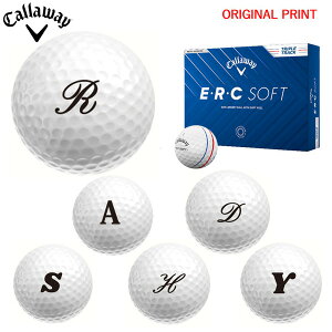 y11/27܂ŃubNtCDAYN[|zyIWi}[Nvg{[([2-3)zLEFC EEREC SOFT gvEgbN St{[ 1_[X (12) 2025Nf At@x