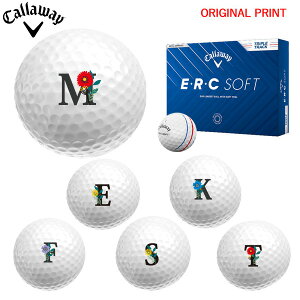 y11/27܂ŃubNtCDAYN[|zyIWi}[Nvg{[([2-3)zLEFC EEREC SOFT gvEgbN St{[ 1_[X (12) 2025Nf At@x