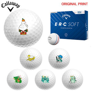 11/1܂ŃK`N[|syIWi}[Nvg{[([2-3)zLEFC EEREC SOFT gvEgbN St{[ 1_[X (12) 2025Nf x v