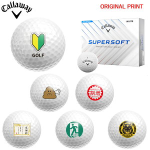 11/1܂ŃK`N[|syIWi}[Nvg{[([2-3)zLEFC SUPERSOFT (X[p[\tg) St{[ 1_[X (12) 2025Nf 낢 }[N