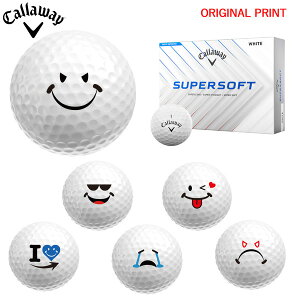 yIWi}[Nvg{[([2-3)zLEFC SUPERSOFT (X[p[\tg) St{[ 1_[X (12) 2025Nf BADX}CC }[N