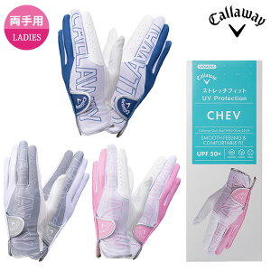 LEFC VFu fA O[u EBY 25 JM p fB[X 2025Nt