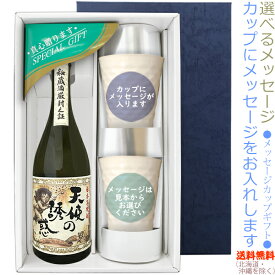 【送料無料（北海道・沖縄を除く）】天使の誘惑 720mlのメッセージカップギフト　陶器カップ×2、〔コーナー飾り付〕〔ギフト箱K付〕【□】【常温配送限定】22sp2