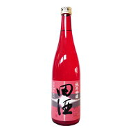 【年1回出荷2026年6月】田酒　純米吟醸　彗星 720ml（すいせい）【西田酒造店】クール代込【冷3】退職祝…
