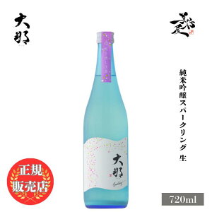 _K̔X^   daina ċ Xp[NO  720ml {   SAKE Ȗ، e̗ DX L lC ݂₷ Mtg v[g j 蕨 a ސEj