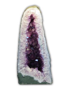 AWXg()@΁@h[@11.5kg@uWYyVR΁zyp[Xg[zyAVXgzyWI[hz