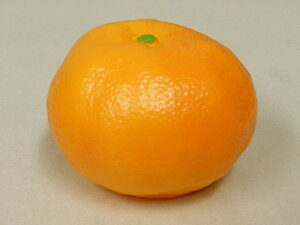 yTj[zَqV[Y@݂@y䋟zyފ݁zy~zyizy̐l̍Dz