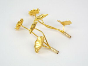 A~ԁ@@ؕepԁu炫񂰁v3{(1΁j{̂̂