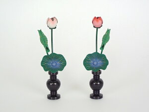 ԍʐF33{(1)Ɖؕe1.8Zbg(1)iFj