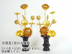 Ԗ{̂̂݁@A~@F@79{@(1΁jysmtb-KDz