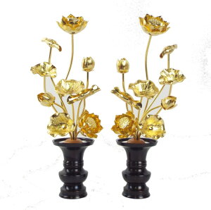 ԃZbgi@^J@{bL@79{3.5ԗt@(1΁jysmtb-KDz