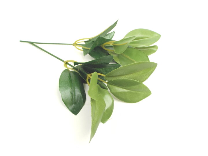 楽天市場】仏花 造花【メール便】【仏具】華鋲用 シキミ(5つ葉×2)1対(2個)お供え 樒 しきみ けびょうしきみ : お仏壇の野田 楽天市場店 楽天市場】仏花 造花【メール便】【仏具】華鋲用 シキミ(5つ葉×2)1対(2個)お供え 樒 しきみ けびょうしきみ : お仏壇の野田 楽天市場店