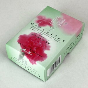 ���� �ԕ� �J�[�l�[�V���� �~�j�� ���{�����@���̏��Ȃ��^�C�v