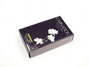 uJ[l[VvJ[l[V̓ ̓Mtg②蕨